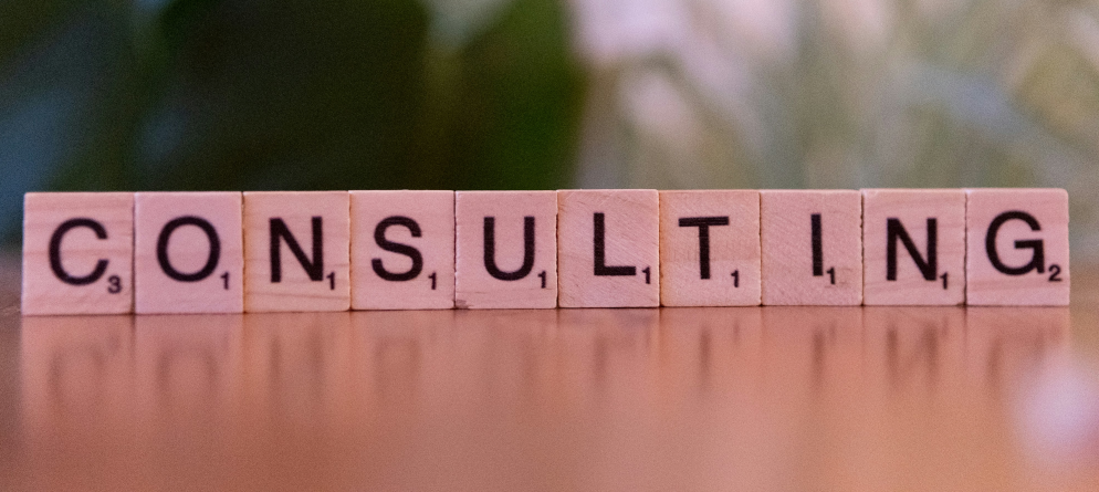 Consultation with SEO Experts for Business Growth