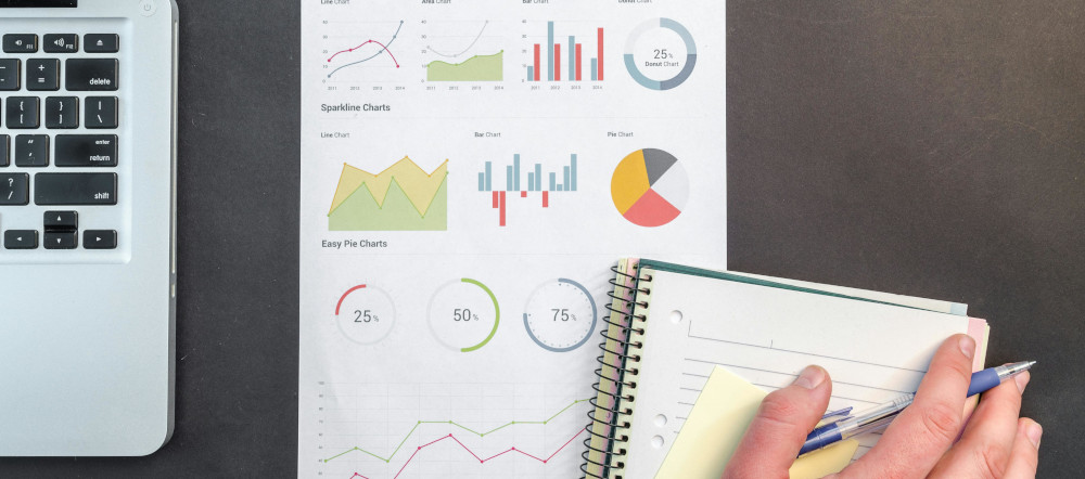 seo traffic growth results oakville